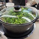 등촌샤브칼국수서소문점 | 시청역 맛집 등촌 샤브칼국수 서소문점 내돈내산 후기