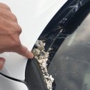 1급믿음카센타 이미지