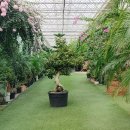 동백커피 이미지