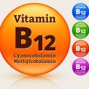 B12 이미지