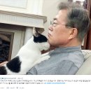 사오정 이미지