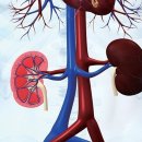 아이웰어린이병원 이미지