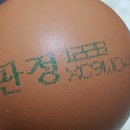 몽그라니 이미지