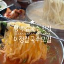 비전동 소로 3-20 | 평택 칼국수 맛집 수육정식 비전동 점심 추천
