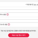 맥시스템 이미지