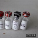 자인동물병원 이미지