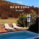 마지하우스 | 제주도 동쪽 구좌 가족숙소 감성까지 챙긴 하우스마지