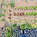 단델리온풀빌라 이미지