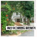 디지털 관광주민증 예산 아그로랜드 국내여행 할인 받는 방법!