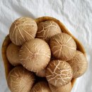 태성농장1 이미지