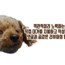 선릉엘7해우리
