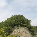 장골칼국수 이미지