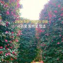 남원읍-92 이미지