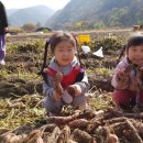 담양도래수마을 이미지