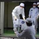 미금초등학교 이미지