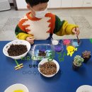 대구선원초등학교 이미지