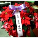 여보여보야 이미지