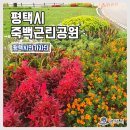 죽백근린공원 이미지