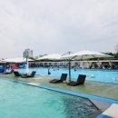 행유행유 이미지