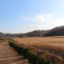 다락금솔밭공원 이미지