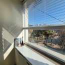 그린원주식회사 | 원주중앙동눈썹문신 소개받고 자연스럽게 변신했어요