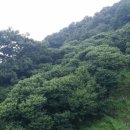 율산농장 이미지