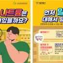 서울채소