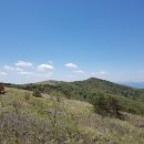 소백산향기나라 이미지