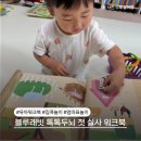재미 쑥 말 걸기 그림책 놀이 B | 블루래빗 두뇌톡톡 첫 실사 워크북으로 4세 아이랑 엄마표놀이 집콕놀이완료