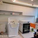 The 사랑할 개 이미지