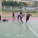 일원초등학교 이미지