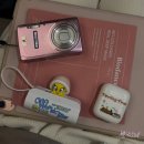 버스정류장 05-243 | 싱가포르 가족여행 | 1-2일차(싱가포르맛집_새우국수,칠리크랩/포트캐닝공원(트리터널)/카페_티옹바루...