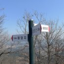 봉화산 솔바람길 이미지