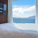 온실속베니