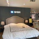노송가구 | [W27]신혼 침대 장만한 후기!!(용인 노송가구 수지점에서 씰리 침대 사기)