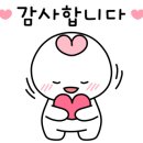 울산팀매드 이미지