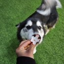 불리빌로우코리아센터 이미지