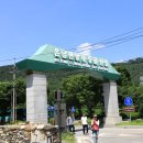 난전매운탕 네이버블로그