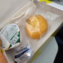 다름 과일 | [베이징] 에어차이나/동방항공 탑승후기 중국항공사의 기내식이 궁금해?(과일기내식/일반식)