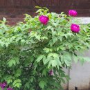 문산 사거리 이미지