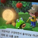 카일 존나 귀엽다 이미지