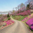 보산주유소 이미지