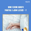 [카드뉴스] 밤에 다리에 벌레가 기어가는 느낌이 난다면…? 이미지