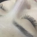 둔산중로-19 이미지