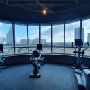 머슬피플 이미지