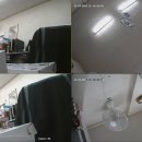 늑대와여우 이미지