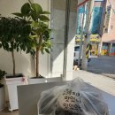 크루피자 성서점 이미지