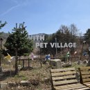 메르베르스파애견펜션A | 수원 근교 애견동반 펜션 추천, 횡성 위드펫빌리지 블루A 솔직후기