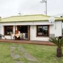 니나노 제주 이미지