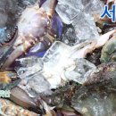 고잠2길 2 이미지